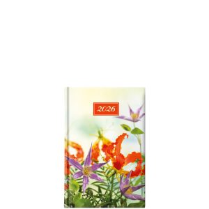 Orange Violet Flowers Small