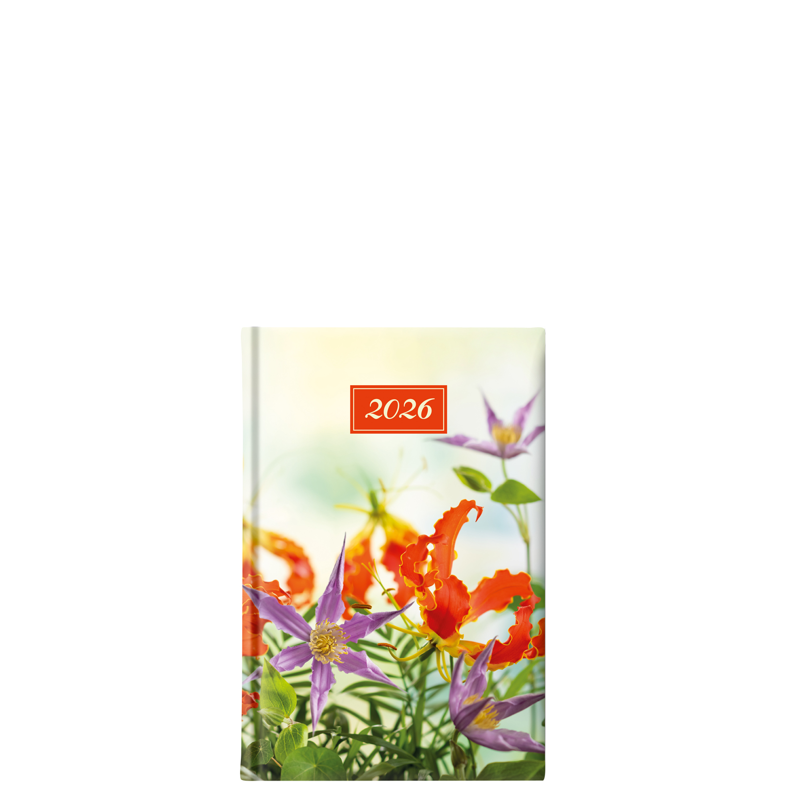 Orange Violet Flowers Small Orange Violet Flowers Small