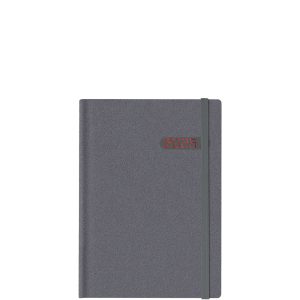 Winner Metal Grey/Red M