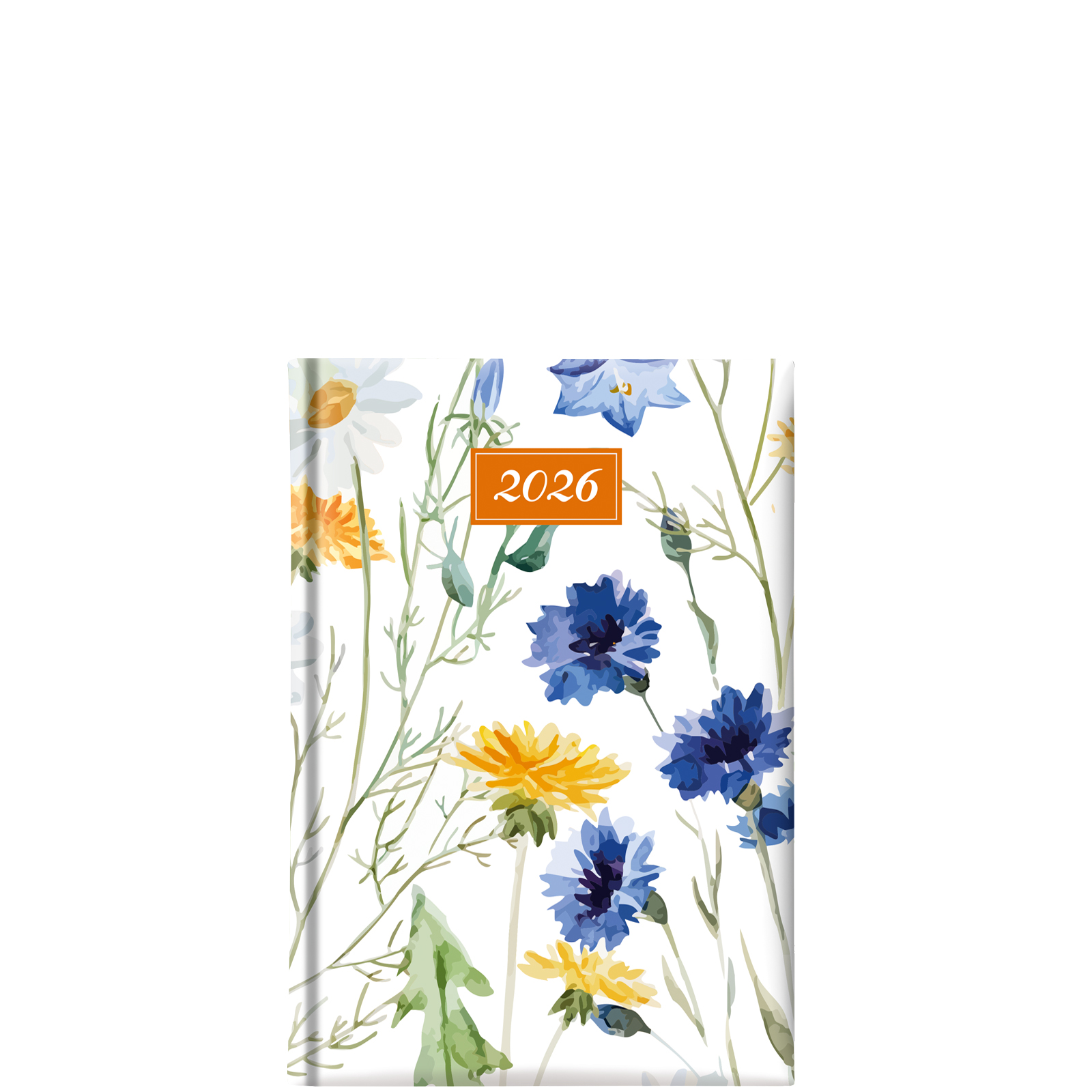 Dandelion M Dandelion M