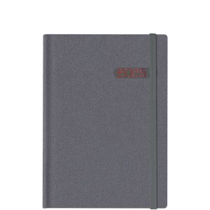 Winner Metal Grey/Red L