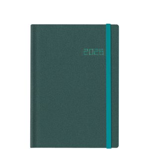 Winner Metal Petrol/Turquoise L