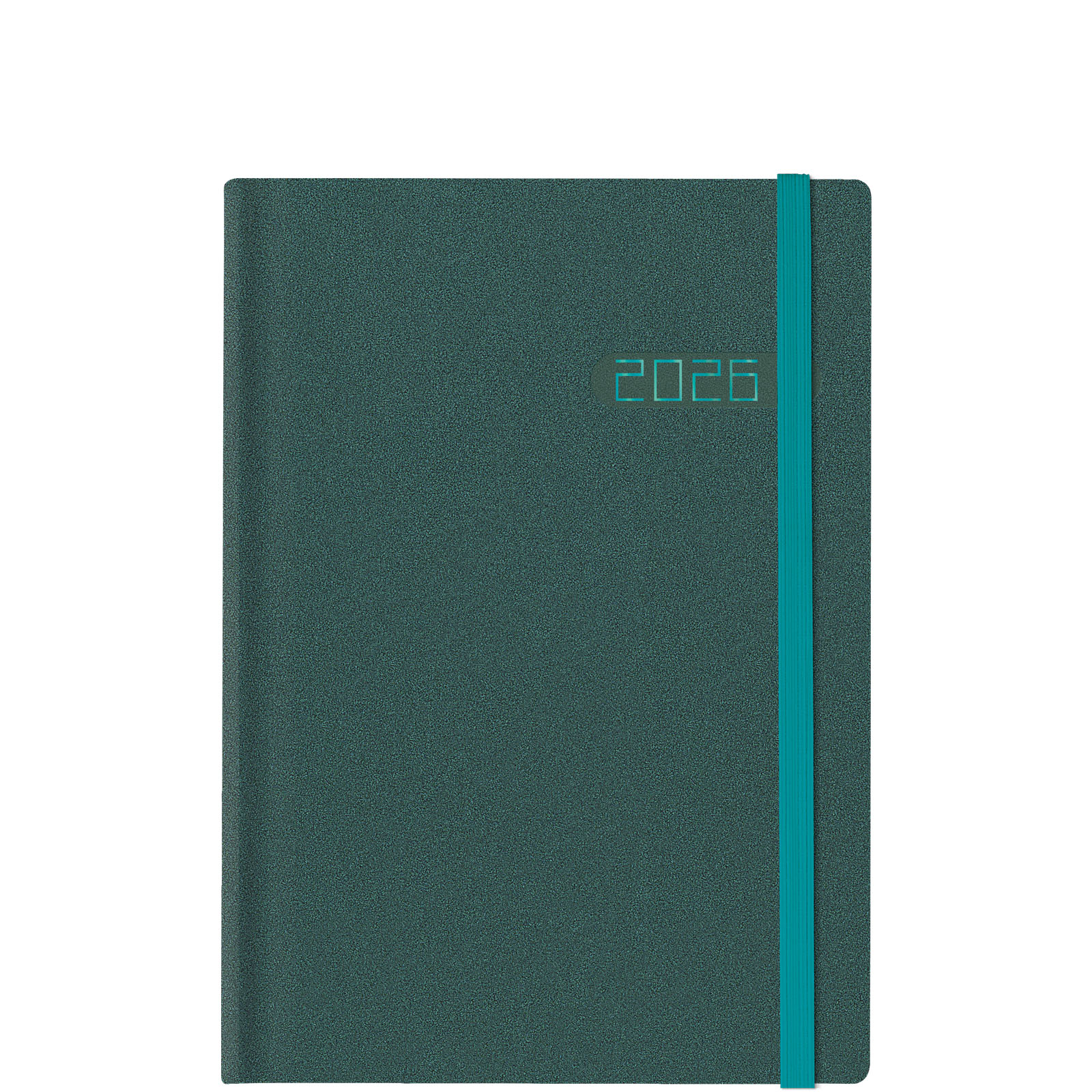 Winner Metal Petrol/Turquoise L Winner Metal Petrol/Turquoise L