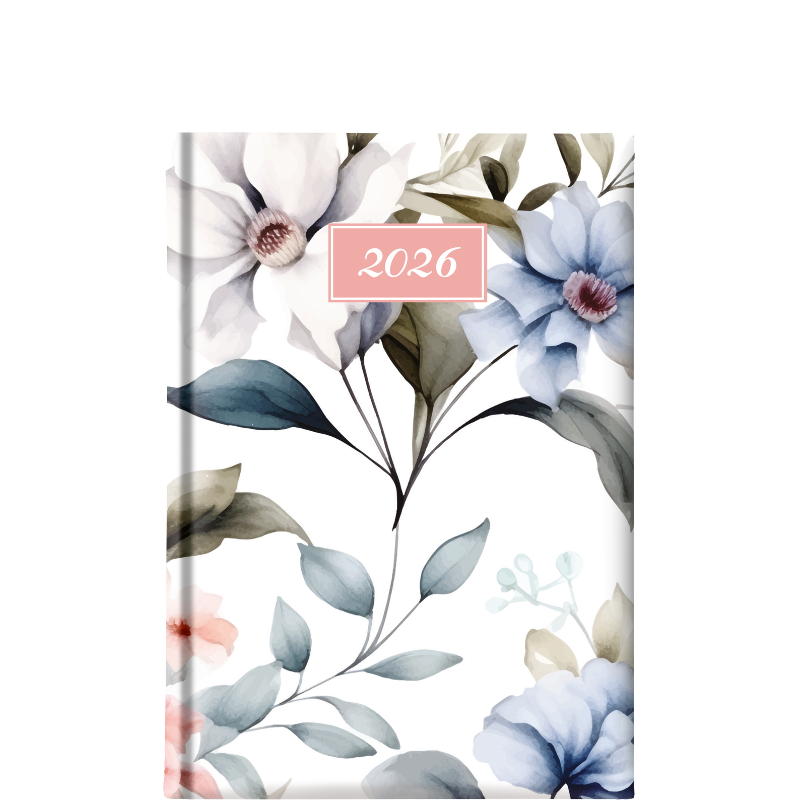 Hibiscus L Hibiscus L