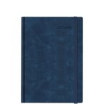 Avenue Chia Elastic Blue L