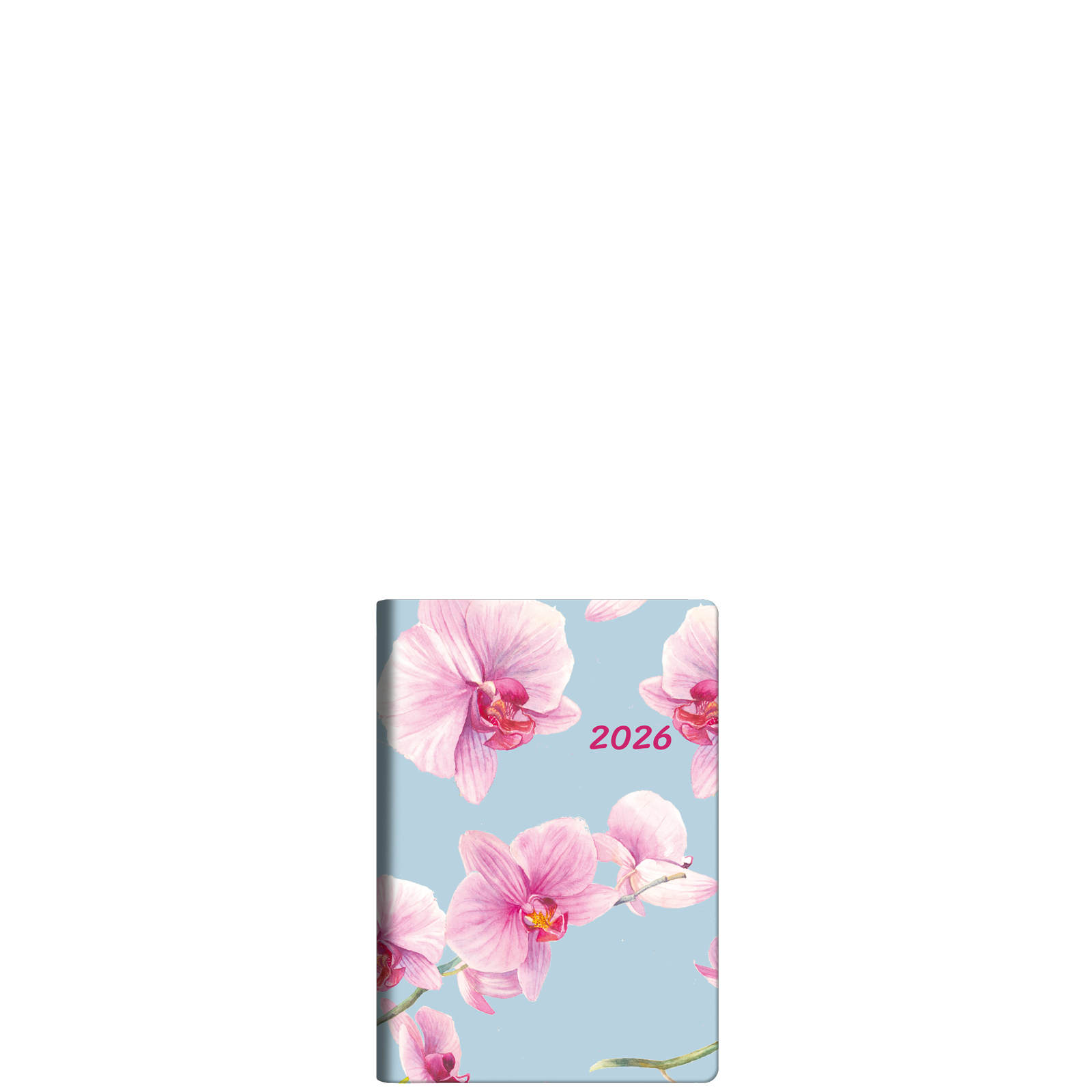 Orchid Flowers S Orchid Flowers S