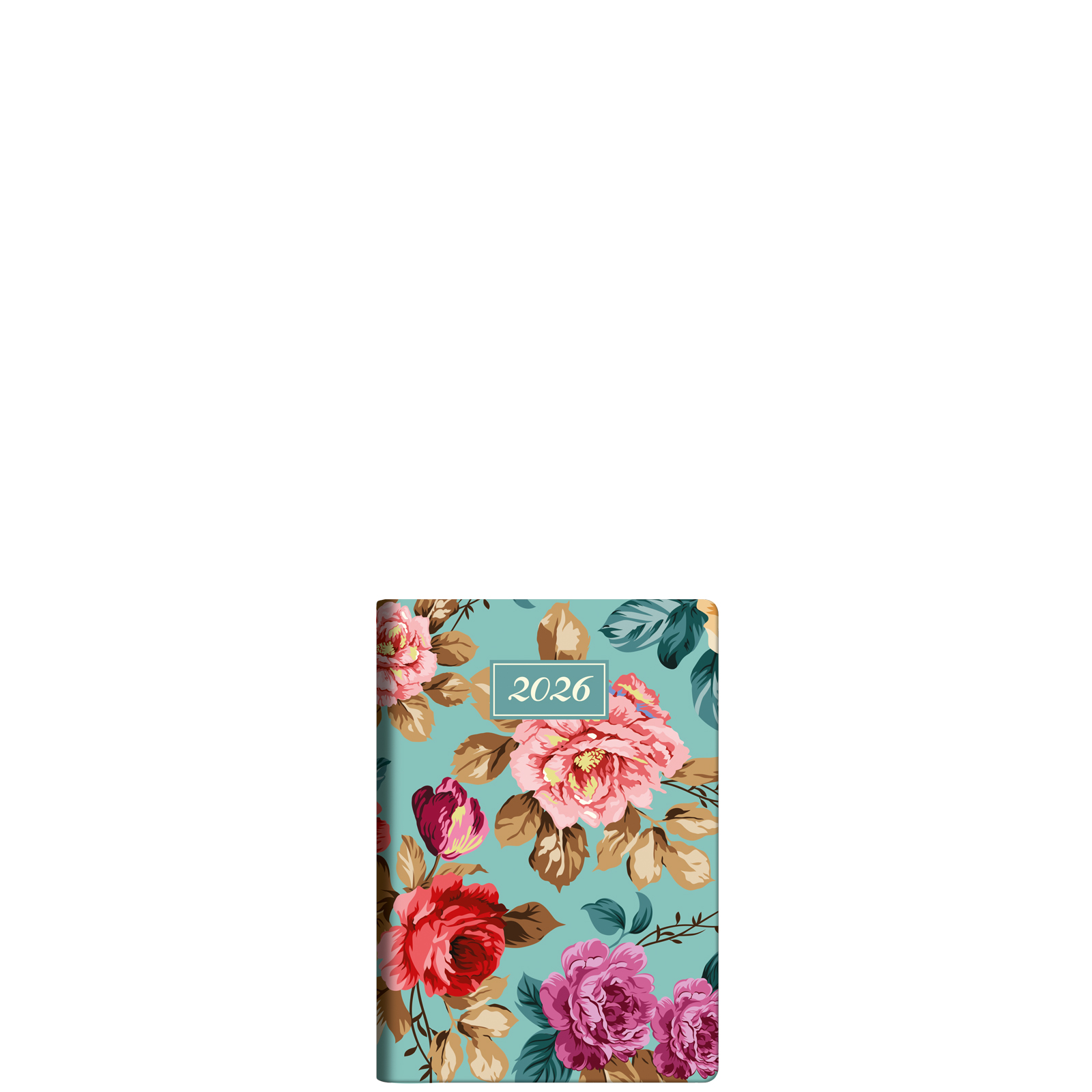 Carnation S Carnation S