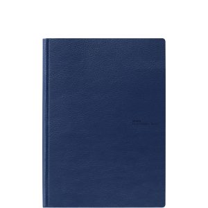 Twin Time Avenue Arizona 2 in 1 Blue